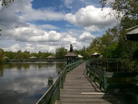 tahai lake