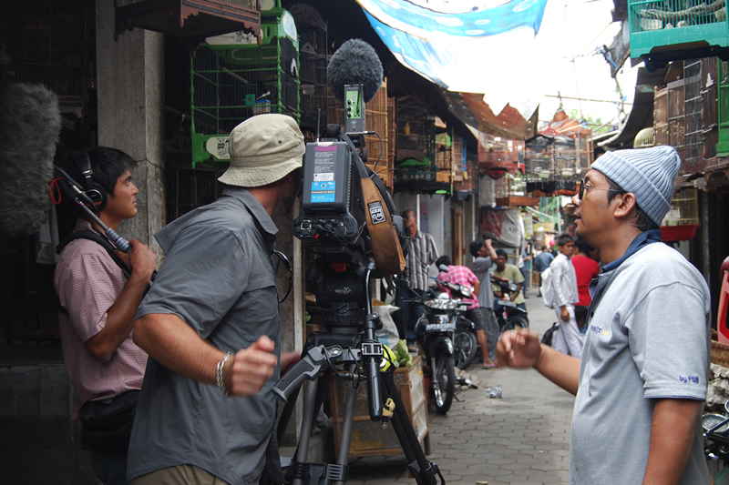 jogjakarta fixer